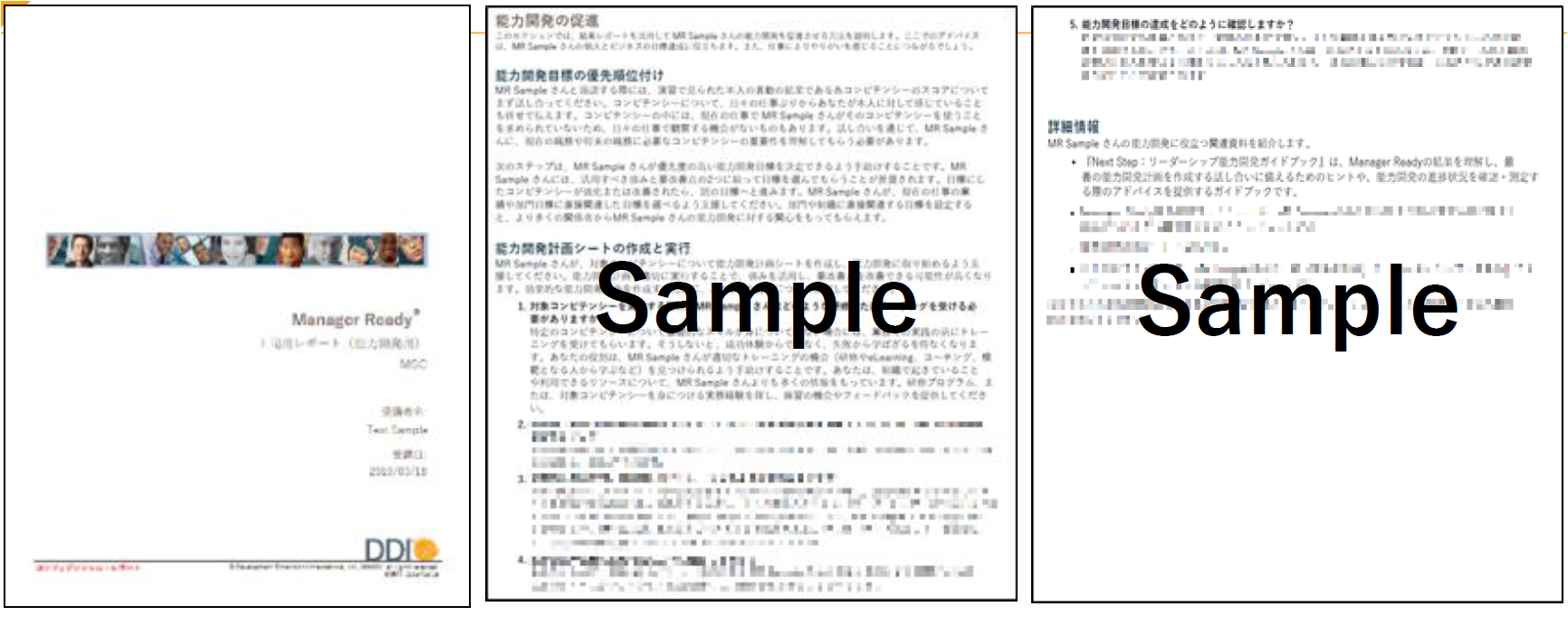 上司向け能力開発用レポート