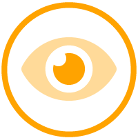 hybrid-icon_01_vision.png